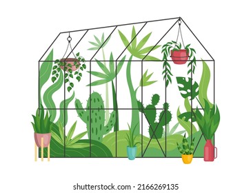 Greenhouse with plant garden. Glasshouse with plantation of growth tropical leaves in a pots. Palm plants and ficus, homegrown cultivated nature. Urban jungle. Modern vector illustration