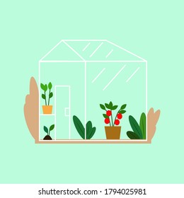 greenhouse with plants and vegetables inside. Vector illustration. Excellent for the design of postcards, posters, stickers and so on.