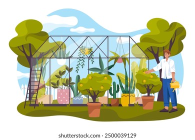 Greenhouse and pots with plants. Vector outdoor glass orangery. Glasshouse and farmer. Organic crop cultivation hothouse. Green house for food harvest or agriculture plantation. Horticulture,gardening