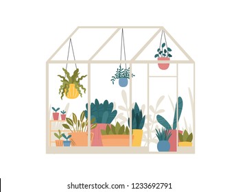 Greenhouse with potted and hanging garden plants vector illustration, cute Scandinavian Hygge style.Glass green house seasonal greeting card.Conservatory with growing plants in pots and planters.