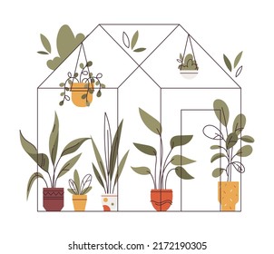 Greenhouse with potted plants. Interior houseplants in planters, flowerpots. Home indoor green decor. Different foliage. Flat graphic vector illustration isolated on white background