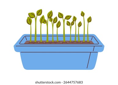 Greenhouse seedlings potted in container