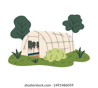 Greenhouse with Tomatoes, Rural Landscape Element Vector Illustration