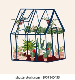 Greenhouse with tropical plants. Glasshouse in garden with cactus, succulent in pots. Botanical cultivated plantation with urban jungle. Floral tropics in pavilion. Exotic flower growing in hothouse.