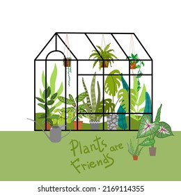 Greenhouse vector illustrations. Urban jungles. Plants are friends. Culd be used for web, notebook, phone case, etc