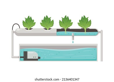 Greenhouse vertical farming hydroponics aeroponics cartoon composition with plants in tube bath vector illustration