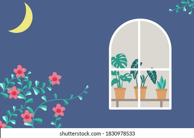 Greenhouse window at night scene
