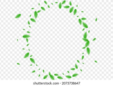 Greenish Foliage Background Transparent Vector. Greenery Elegant Illustration. Environmental Design. Green Pattern Texture. Leaf Garden.