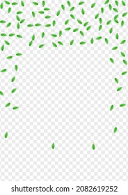 Vector Transparente De Fondo De Foliage De Color Verde. Diseño que refresca la vegetación. Tarjeta de decoración. Ilustración de luz verde clara. Planta vibrante.