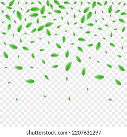 Greenish Foliage Background Transparent Vector. Leaf Forest Illustration. Vivid Card. Green Isolated Design. Leaves Modern.