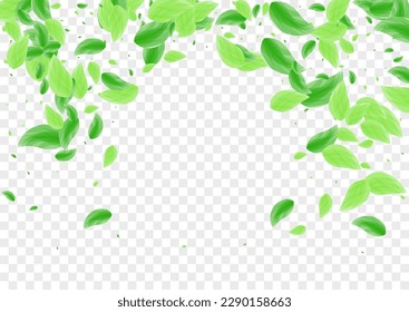Greenish Foliage Background Transparent Vector. Plant Space Design. Border Illustration. Green Template Frame. Leaf Environment.
