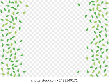 Greenish Foliage Background Transparent Vector. Sheet Clean Card. Space Frame. Green Vitality Texture. Plant Pattern. - Powered by Shutterstock - Get 15% off with code: PIKWIZARD15