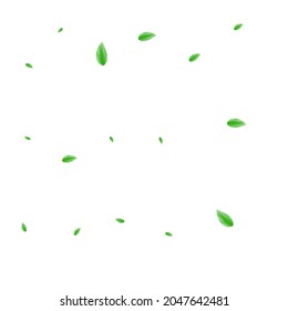 Vector blanco de fondo de follaje negro. Ilustración moderna de la vegetación. Refrescando tarjeta. Textura de etiqueta verde claro. Hoja Selectiva.