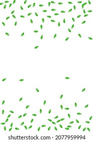 Greenish Foliage Background White Vector. Plant Copy Texture. Element Design. Green Cover Illustration. Leaf Wild.