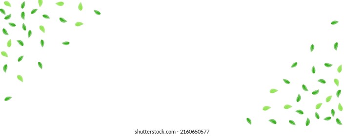 Greenish Foliage Background White Vector. Greenery Light Frame. Delicate Design. Light Green Line Texture. Leaves Drink.