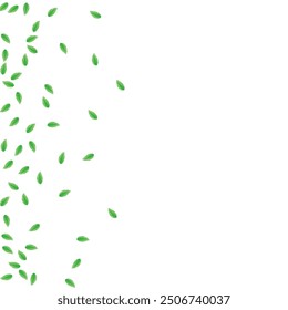 Greenish Foliage Background White Vector. Leaves Clean Card. Figure Design. Light Green Agriculture Frame. Greenery Isolated.
