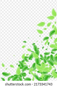 Grüner grüner Hintergrund Transparenter Vektorgrafik. Blatt-Einzelkarte. Abstrakte Illustration. Hellgrüner Ökologie-Rahmen. Anlagenteil.