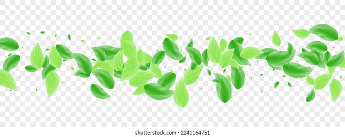 Greenish Greenery Background Transparent Vector. Leaf Vivid Illustration. Pure Design. Light Green Growing Texture. Foliage Life.