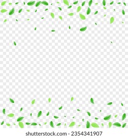 Greenish Greenery Background Transparent Vector. Plant Organic Frame. Symbol Card. Green Drink Illustration. Sheet Watercolor.