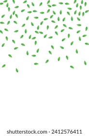 Greenish Greenery Background White Vector. Leaf Wild Card. Herbal Frame. Green Growth Illustration. Leaves Template.