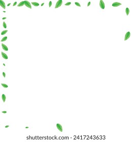 Greenish Greenery Background White Vector. Foliage Wind Texture. Bio Frame. Green Botanical Design. Vegetation Sprout.