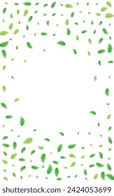 Greenish Greenery Background White Vector. Vegetation Healthy Illustration. Set Texture. Green Blend Card. Leaves Decoration.