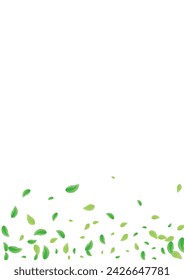 Greenish Greenery Background White Vector. Vegetation Process Texture. Subtle Design. Light Green Woods Frame. Plant Nature.
