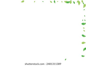 Greenish Greenery Background White Vector. Plant Decoration Frame. Fresh Design. Light Green Flying Texture. Sheet Floral.