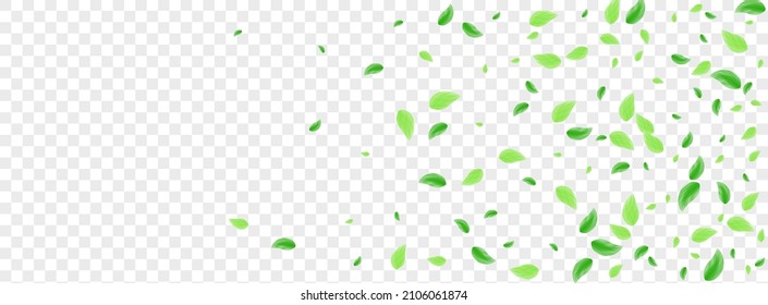 Greenish Leaf Background Transparent Vector. Vegetation Decor Texture. Style Frame. Green Fresh Design. Foliage Vitality.