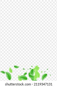 Greenish Leaf Background Transparent Vector. Sheet Set Frame. Pattern Illustration. Green Nature Texture. Greenery Floral.