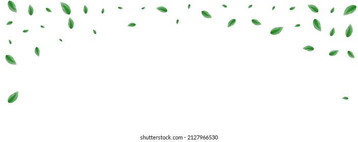 Greenish Leaf Background White Vector. Vegetation Growing Frame. Agriculture Design. Light Green Summer Illustration. Greenery Refreshing.