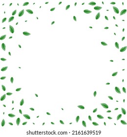 Greenish Leaf Background White Vector. Foliage Woods Texture. Abstract Design. Green Park Frame. Vegetation Ecology.