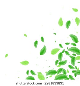 Vector blanco de fondo de hoja verde. Tarjeta de comida para la vegetación. Marco simple. Textura de la estructura verde clara. Sale Decorativo.