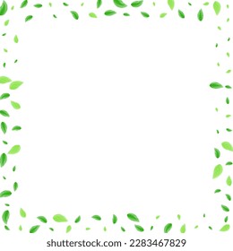 Vector blanco de fondo de hoja verde. Plantar tarjeta creativa. Marco de primavera. Textura de sabor verde. Foliage Environmental.