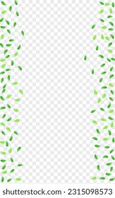 Greenish Leaves Background Transparent Vector. Sheet Ecology Frame. Cosmetic Card. Light Green Process Texture. Plant Realistic.