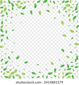 Greenish Leaves Background Transparent Vector. Vegetation Growing Texture. Isolate Card. Green Pure Frame. Greenery Drink.