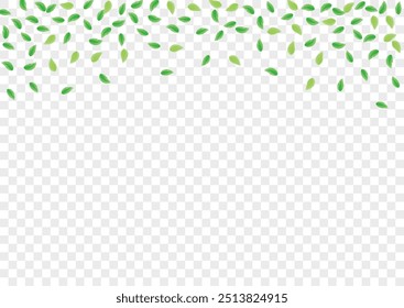 Greenish Leaves Background Transparent Vector. Vegetation Line Design. Decorative Card. Light Green Structure Frame. Sheet Herbarium.