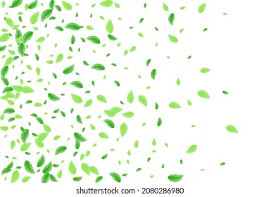 Schwarze Blätter, weißer Hintergrund. Vegetation Einfache Illustration. Motion Texture. Green Flora Design. Blattluft.