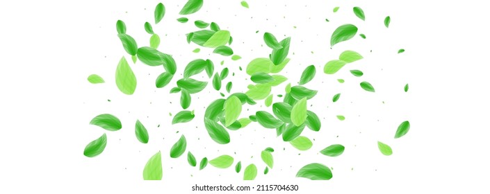 Greenish Leaves Background White Vector. Leaf Element Design. Abstract Texture. Light Green Figure Frame. Plant Structure.