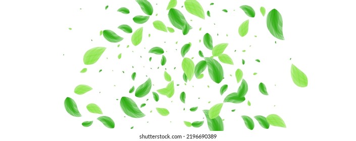 Greenish Leaves Background White Vector. Leaf Sprout Illustration. Elegant Frame. Green Fresh Design. Vegetation Wild.