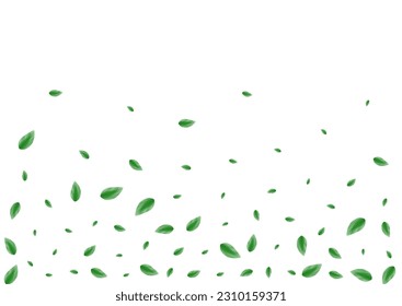 Greenish Leaves Background White Vector. Sheet Eco Card. Herbarium Illustration. Light Green Realistic Design. Plant Agriculture.