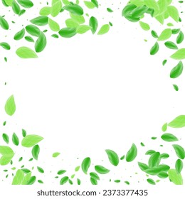 Greenish Leaves Background White Vector. Foliage Air Card. Copy Illustration. Light Green Isolated Frame. Sheet Food.
