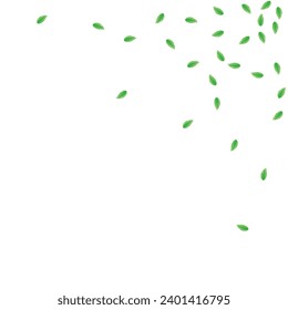 Greenish Leaves Background White Vector. Foliage Flora Card. Set Texture. Green Copy Design. Vegetation Decor.