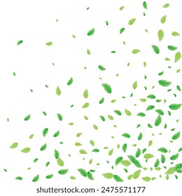 Greenish Leaves Background White Vector. Vegetation Bio Illustration. Nature Card. Light Green Clear Design. Sheet Pure.