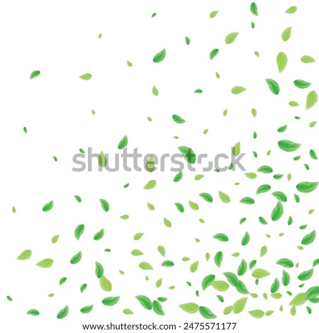 Greenish Leaves Background White Vector. Vegetation Bio Illustration. Nature Card. Light Green Clear Design. Sheet Pure.