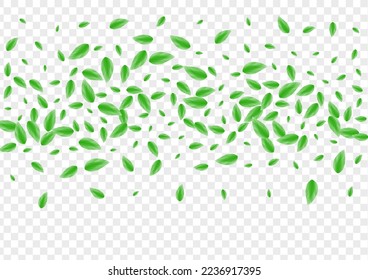 Greenish Plant Background Transparent Vector. Foliage Subtle Texture. Simple Design. Green Icon Frame. Leaves Wind.