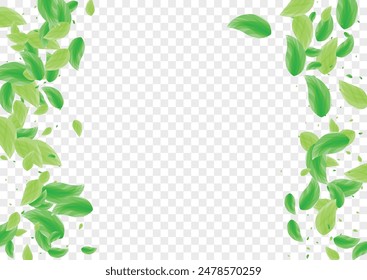 Fondo de planta verdosa Vector transparente. Marco de ecología de hojas. Diseño sencillo. Ilustración de concepto verde. Vegetación Orgánica.