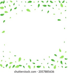 Greenish Plant Background White Vector. Vegetation Creative Texture. Beauty Design. Green Rustic Card. Greenery Bio.