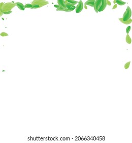 Greenish Plant Background White Vector. Leaf Floral Card. Ecology Frame. Light Green Falling Design. Leaves Growing.