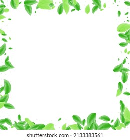 Greenish Plant Background White Vector Greenery Stock Vector (Royalty ...